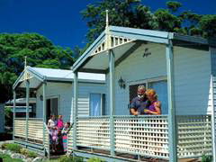 Paradise Palms Carey Bay - Tourism Adelaide 1