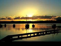 Paradise Palms Carey Bay - Tourism Adelaide 4