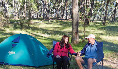 Apsley Falls Campground - Tourism Adelaide 0
