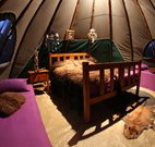 Aranyani Bison Adventure Tourist Park - Tourism Adelaide