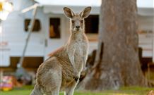 BIG4 Sunshine South West Rocks Holiday Park - South - Tourism Adelaide 3