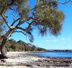 Currarong Beachside Holiday Park - Tourism Adelaide