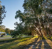Delicate campground - Tourism Adelaide