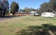 Riverview Caravan Park - thumb 1