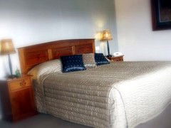 Saltbush Motor Inn - Tourism Adelaide 4