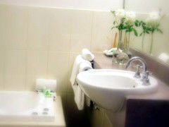 Saltbush Motor Inn - Tourism Adelaide 5