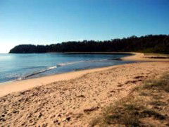 Seahorse Inn Hotel - Tourism Adelaide 4