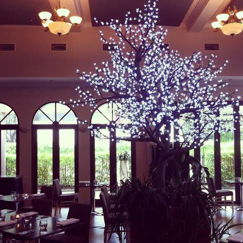 Shangri-La Gardens - Tourism Adelaide 1