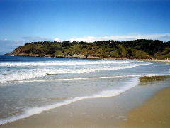 Walkabout Holiday House - Tourism Adelaide 4