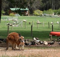 Diamond Forest Cottages and Farm Stay - Tourism Adelaide