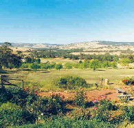 Pecan Hill Bed and Breakfast - Tourism Adelaide