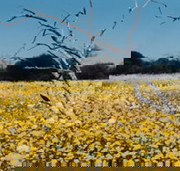 Wooleen Station - Tourism Adelaide