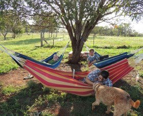 Childers Eco-lodge - Tourism Adelaide 1