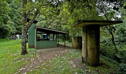 Forest Tops Campground - Tourism Adelaide 1