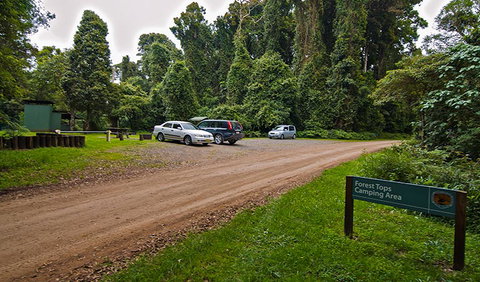 Forest Tops Campground - Tourism Adelaide 2