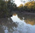 Four Mile Camping Reserve - Tourism Adelaide