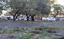 Four Mile Camping Reserve - Tourism Adelaide 1