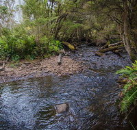 Horse Swamp campground - Tourism Adelaide