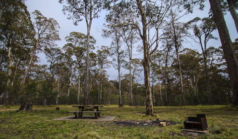 Horse Swamp Campground - Tourism Adelaide 1