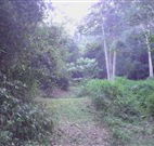 Macas Camping Ground - Tourism Adelaide