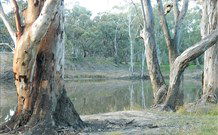 Mclean Beach Holiday Park - Tourism Adelaide 5
