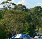 Milton Valley Holiday Park - Tourism Adelaide