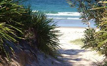Cambewarra Mountain NSW Tourism Adelaide