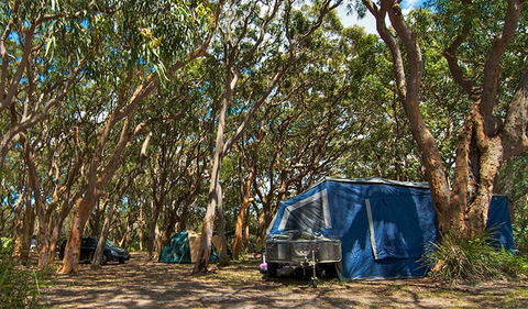 Stewart And Lloyds Campground - Tourism Adelaide 0