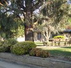 Hamilton Hume Motor Inn - Yass - Tourism Adelaide