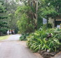 Tamborine Mountain Caravan  Camping - Tourism Adelaide
