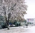 Maneroo Motel - Tourism Adelaide