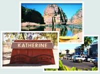Red Gum Tourist Park - Tourism Adelaide 0