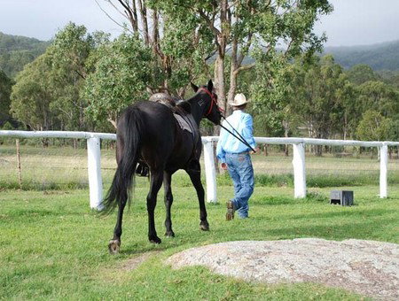 Cherrabah Resort - Tourism Adelaide 2