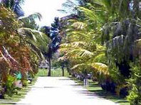 Andergrove Van Park - Tourism Adelaide 2