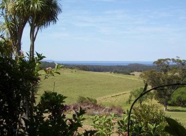 Milton Village Motel - Tourism Adelaide 2