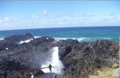 Kiama Ocean View Motor Inn - Tourism Adelaide 1