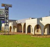 Citrus Motel - Tourism Adelaide