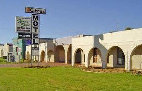 Citrus Motel - Tourism Adelaide 0