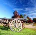 The Oaks Ranch and Country Club - Mossy Point - Tourism Adelaide