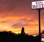 Walcha Motel - Walcha - Tourism Adelaide
