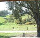 Hosanna Farm Retreat - Tourism Adelaide