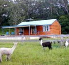 Moorallie Cottage Farm Stay - Tourism Adelaide