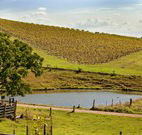 Sanctuary Hill Retreat - Tourism Adelaide