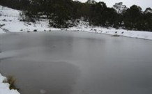 Savernake Farm Stay - Tourism Adelaide 1