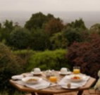Barefoot Springs Bed and Breakfast - Tourism Adelaide