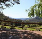 Cedar Grove - - Tourism Adelaide