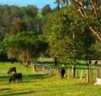 Giba Gunyah Country Cottages - Tourism Adelaide