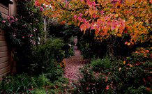 Gulgong B And B - Tourism Adelaide 0