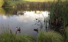 East Bowral NSW Tourism Adelaide