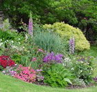 Karralika Springs B and B Mountain Retreat - - Tourism Adelaide